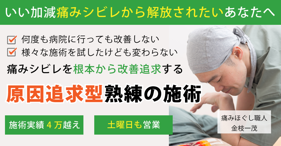 半田市で、病院に行っても治療院に行っても改善しない痛みシビレでお悩みの方のための整体鍼灸